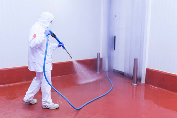 Best Factory Floor Cleaning  in Palm Valley, TX